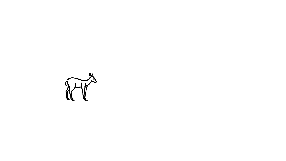 deer