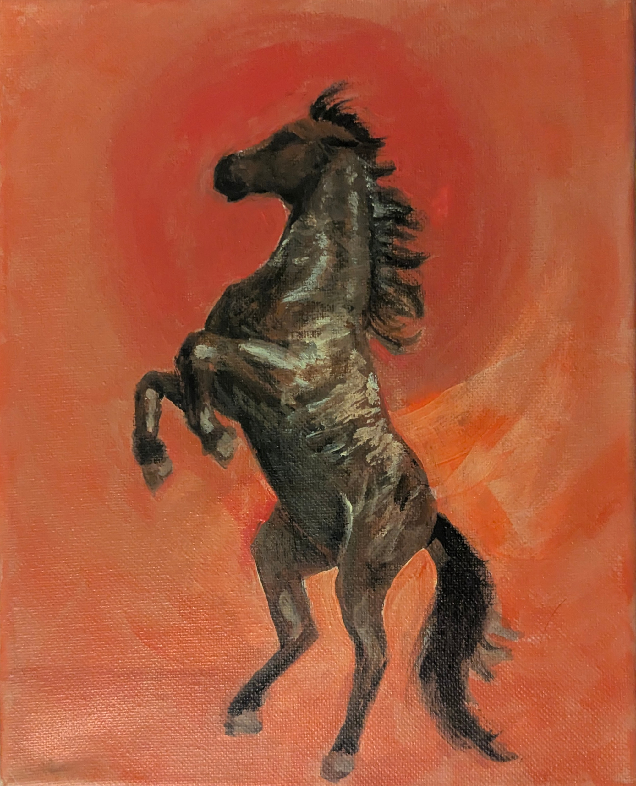 horse at sunset