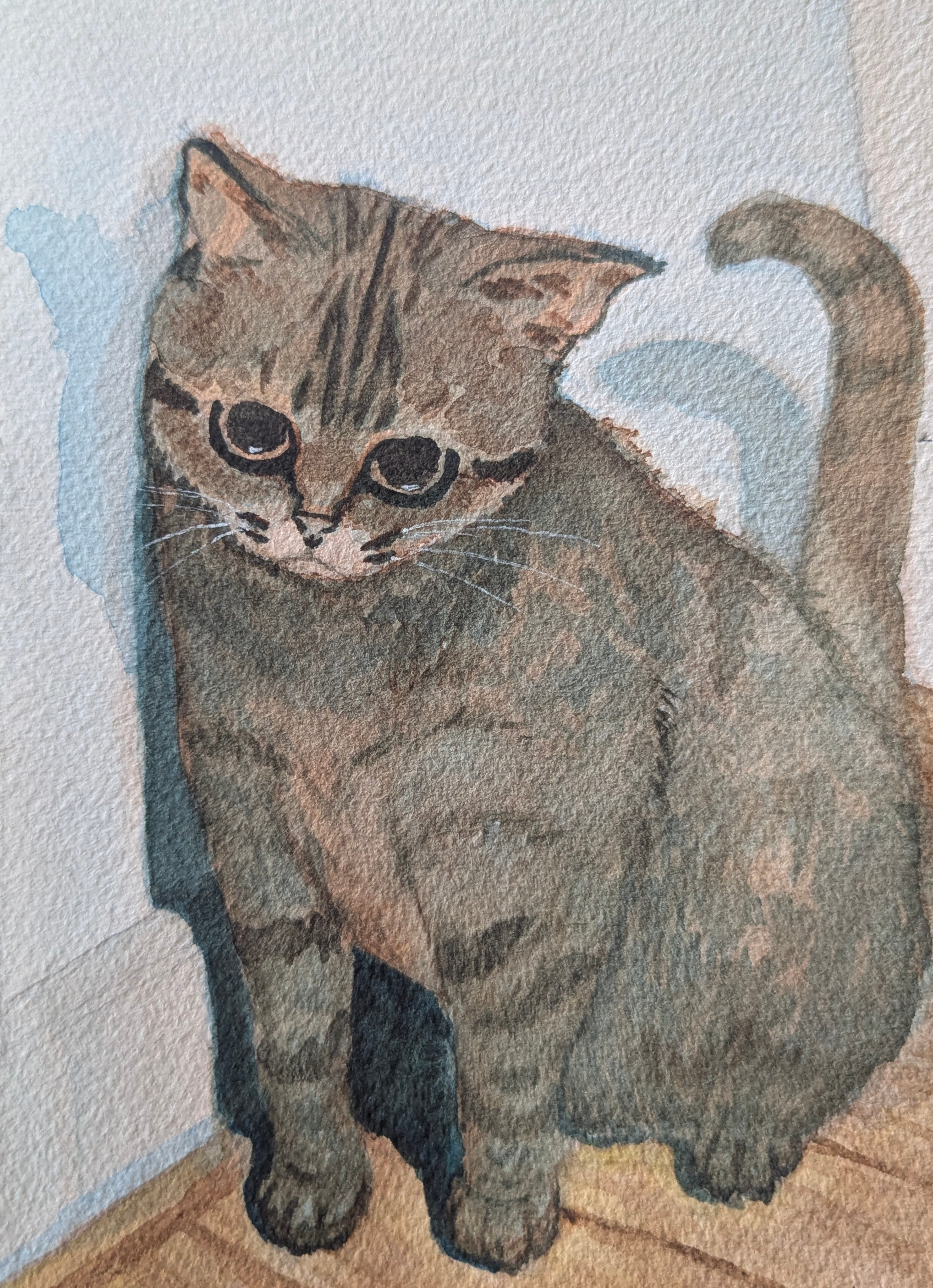 cat in the corner