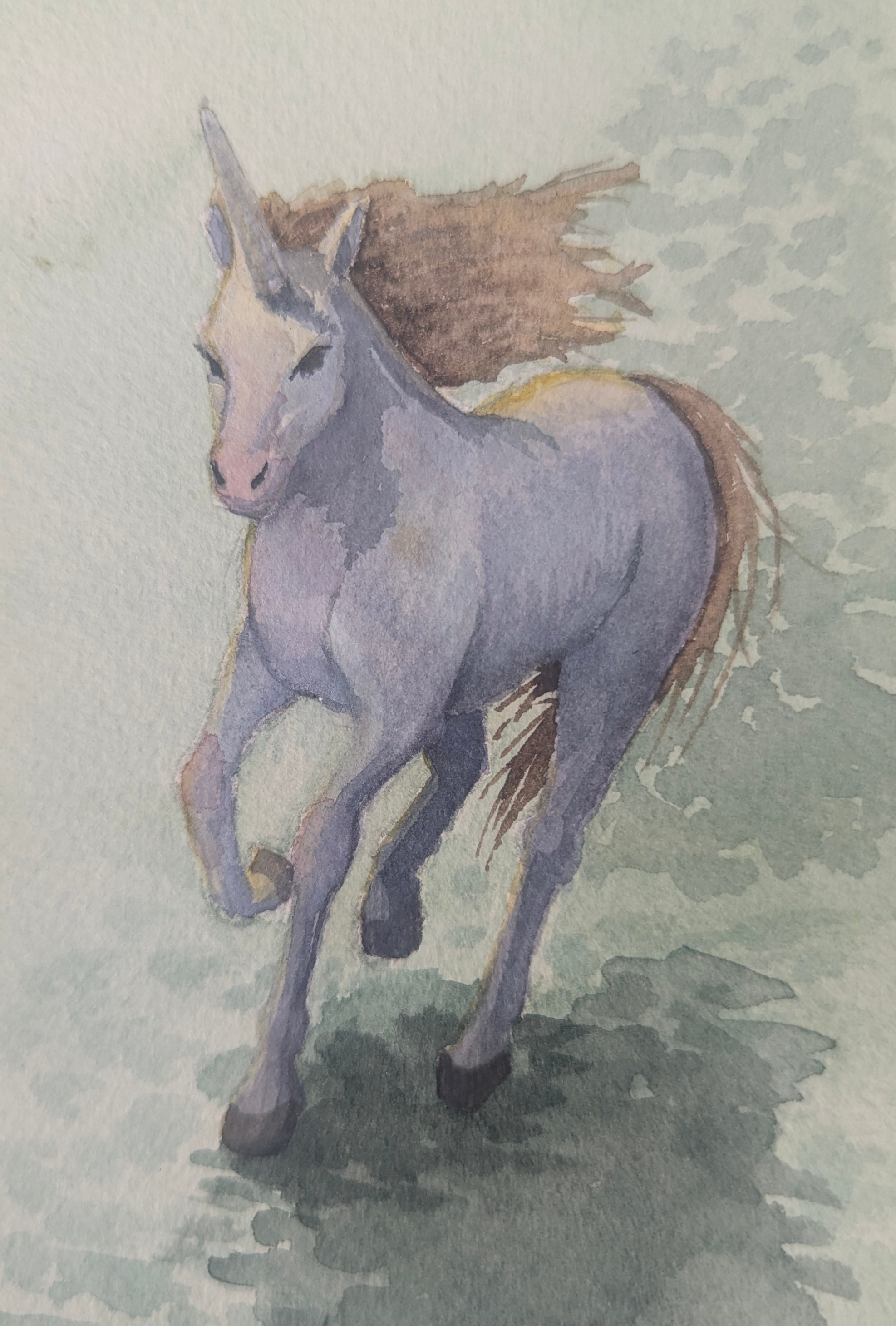 unicorn